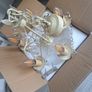 Laura Ahley Light Fitting and Bulbs 2 available Image 3