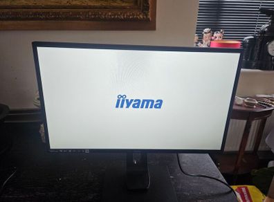 IIyama Computer Monitor 24'
