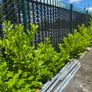 Privacy fence panels Image 2