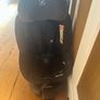 Maxi-Cosi Mica i-Size 360 Rotating Car Seat (ISOFIX) Image 2