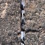 Stihl Chainsaw MS 170 Image 5