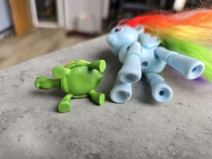 Articulated Joints Rainbow Dash with Pet Turtle Tortoise MLP G4 My Little Pony
