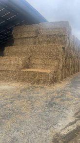 Wheaten straw 8x4x3