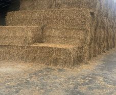 Wheaten straw 8x4x3