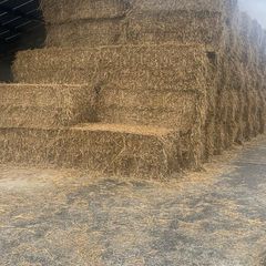 Wheaten straw 8x4x3