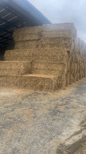 Wheaten straw 8x4x3