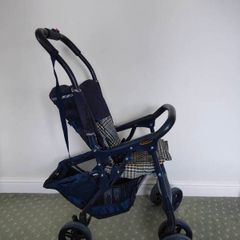 Buggy - light weight, compact with carry strap