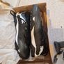 Puma Future 7 size:8.5 Image 3