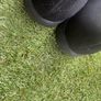 Men's shoes uk 10 Image 3