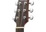 Walden G570CE guitar