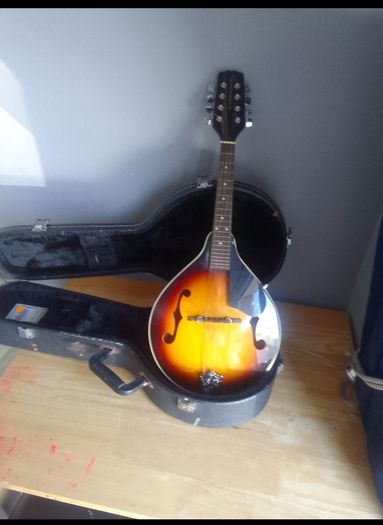 mandolin