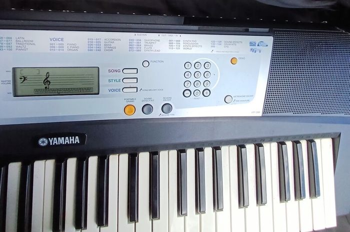 2 yamaha keyboard.2 keyboard cases.1 Herxules Double keyboard stand.2 keyboard power packs.