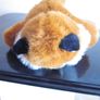 Aurora Plush Fox Stuffed Animal Image 5