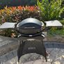 Weber q2000 Image 2