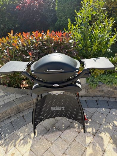 Weber q2000