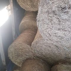 Bales of Hay and Silage