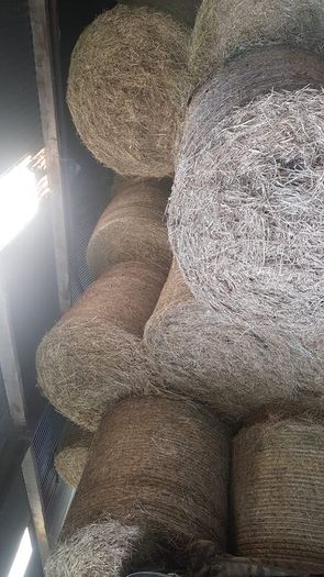 Bales of Hay and Silage