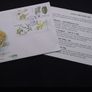 Ireland Stamps : Fauna and Flora - Trees - First Day Cover , 1984 Image 2