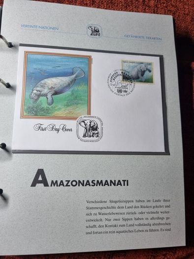 United Nations Vienna and Geneva FDC Collection