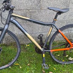 voodoo marasa