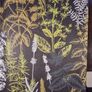 Occult Botany Image 5