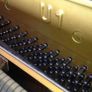 piano Image 4