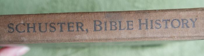 The Illustrated Bible History (Rev. I. Schuster - 1925)