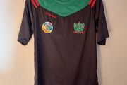 naomh brid gaa jersey