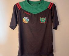 naomh brid gaa jersey