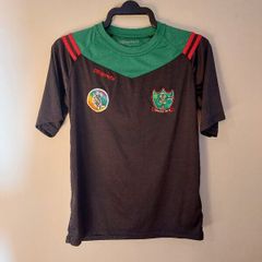 naomh brid gaa jersey