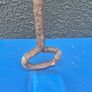 Antique Forged Branding Iron  25 Inches  Quatrefoil Finial Image 3