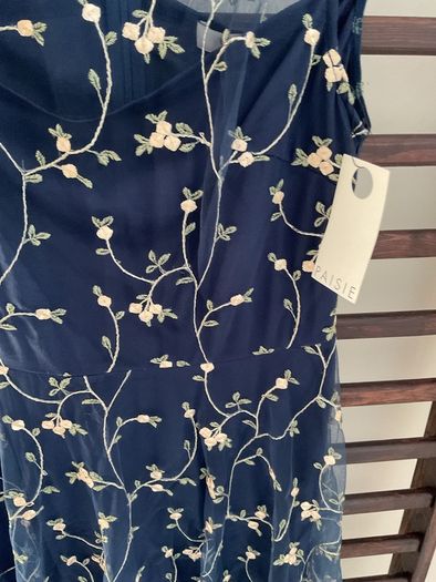 dress Bnwt Paisie occasion wear dress size 10