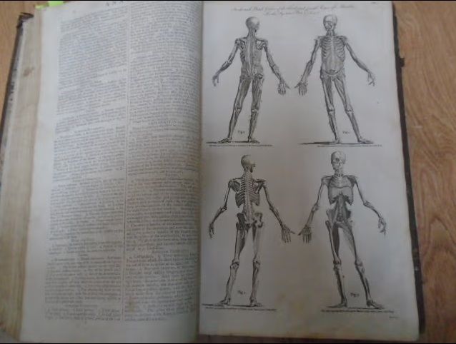 The New Encyclopaedia; Or, Modern Universal Dictionary of Arts and Sciences on a New and Improved Plan, In Which All The Respective Sciences are Arranged into Complete Systems, The Arts Digested Into Distinct Treatises and Philosophical Subjects Introduce