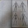 The New Encyclopaedia; Or, Modern Universal Dictionary of Arts and Sciences on a New and Improved Plan, In Which All The Respective Sciences are Arranged into Complete Systems, The Arts Digested Into Distinct Treatises and Philosophical Subjects Introduce Image 3