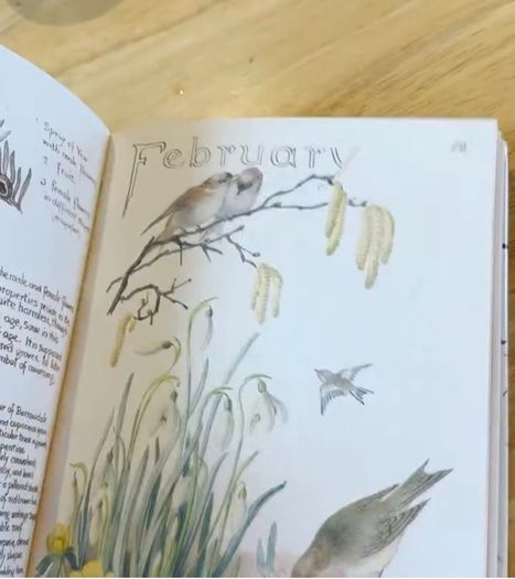 Country Diary of an Edwardian Lady