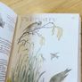 Country Diary of an Edwardian Lady Image 2