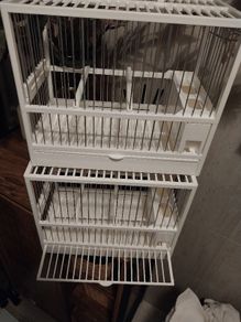 cage