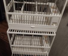cage