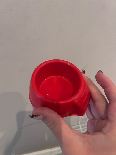 Hamster starter kit