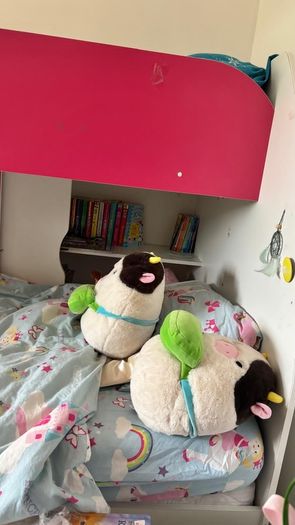 Kids bunk bed with storage drawer and build in bookshelf including two mattresses