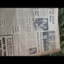 1979 Evening Press Newspaper Saturday, March 10th 1979 Image 6