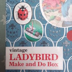 Ladybird Make and Do books