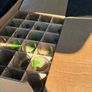 24 Rockshore Pint Glasses. Image 2