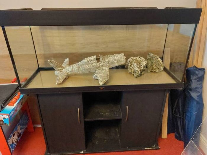 Juwel 240L fish tank