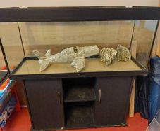 Juwel 240L fish tank