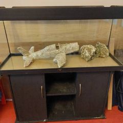 Juwel 240L fish tank