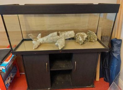 Juwel 240L fish tank