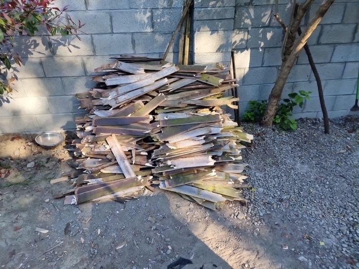 wood