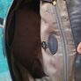 Mulberry Alexa (Black) real leather Image 10