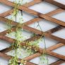 NEW SALE | Wooden Trellis Expandable Plant Trellis Garden Trellis for Climbing,Hanging Wooden Plant Trellis Frame Trellis Fence Support For Climbing Vines Flowers Image 2